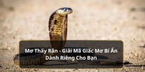 Mơ Thấy Rắn - Giải Mã Giấc Mơ Bí Ẩn Dành Riêng Cho Bạn