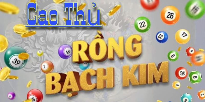 Thông tin chung về Rồng Bạch Kim đến anh em